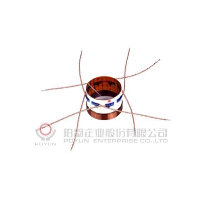 Specially designed Voice Coil